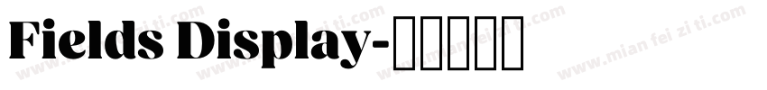 Fields Display字体转换